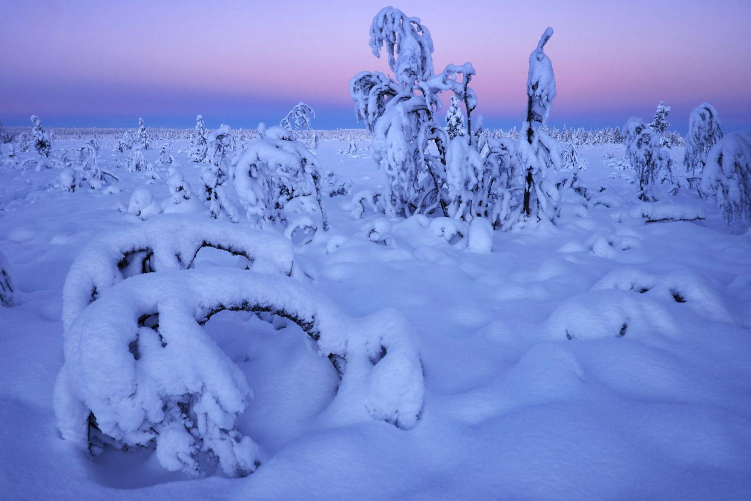 Serkan Günes har förevigat ett helt år i Lappland